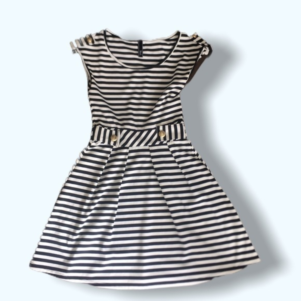 Wish Fit and Flare Dress XS